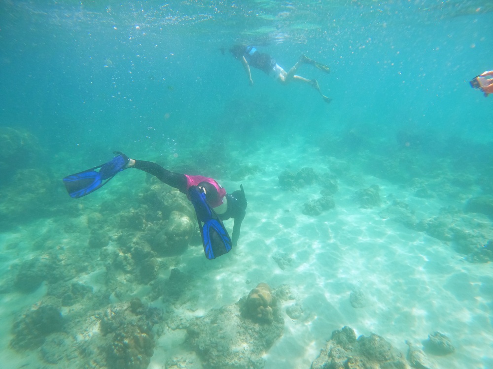 ピピ島チャーターボートツアー