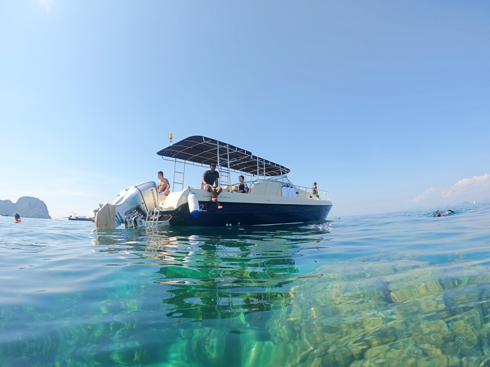 ピピ島チャーターボートツアー