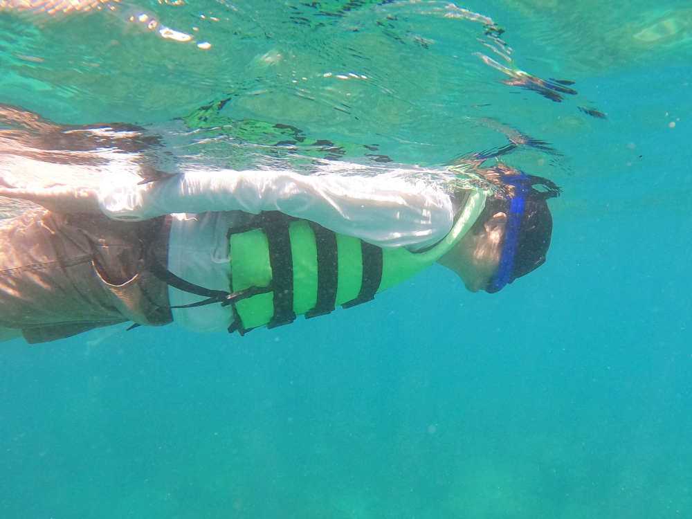 コーラル島バナナビーチ　シュノーケリングツアー