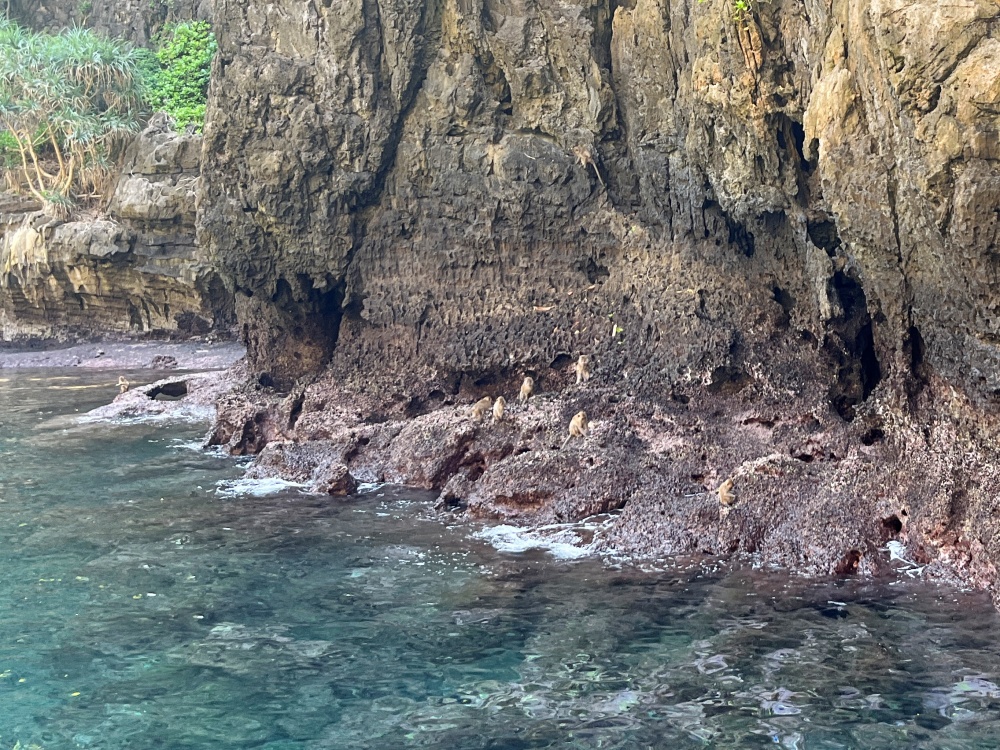 ピピ島チャーターボートツアー