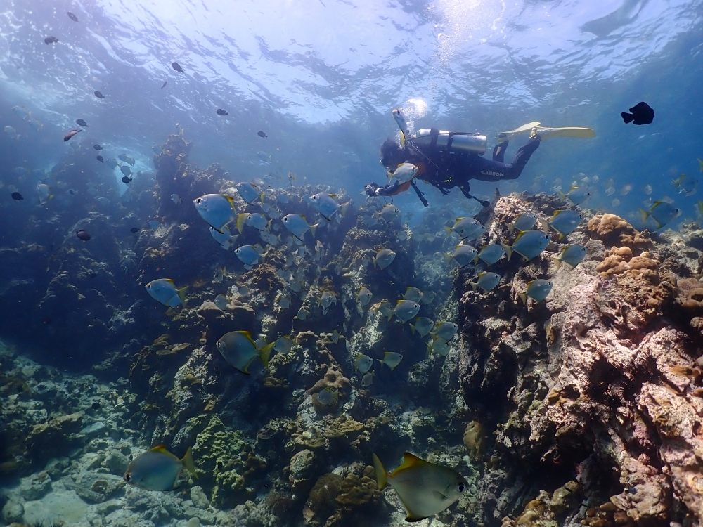 プーケットのマリンパークでダイビング