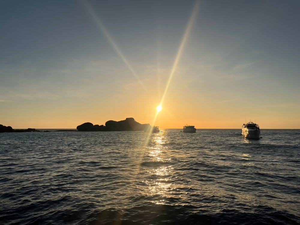 シミランチャータークルーズでダイビング