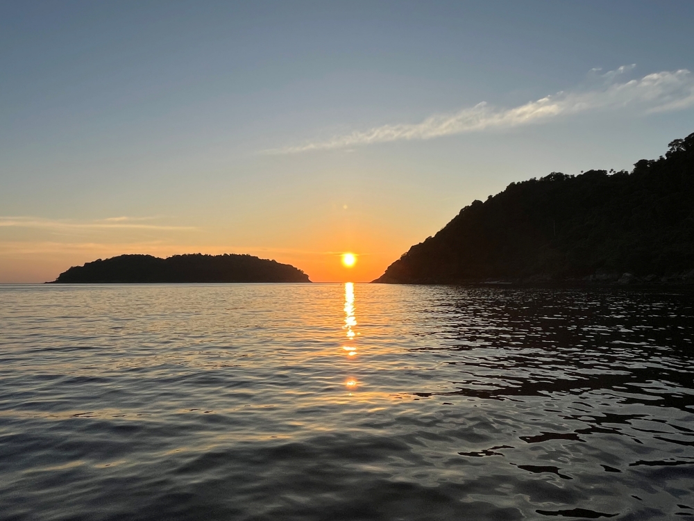 シミランチャータークルーズでダイビング