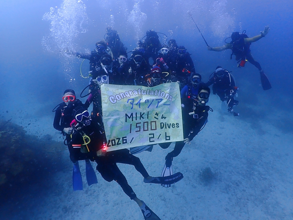 シミランチャータークルーズでダイビング