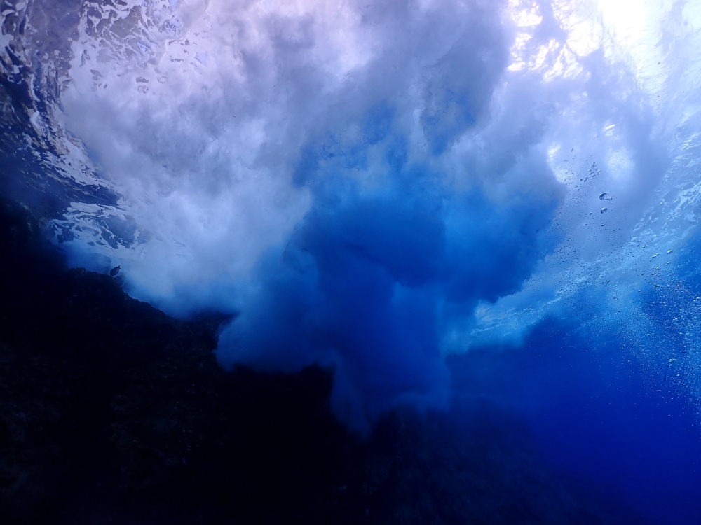 シミランチャータークルーズでダイビング