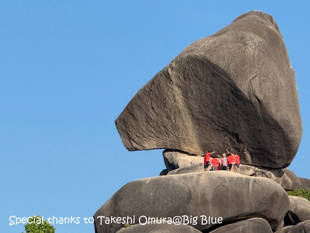 シミランチャータークルーズでダイビング
