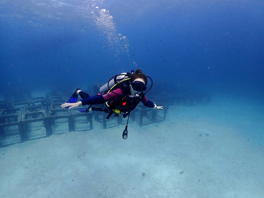 プーケットのラチャヤイ島でダイビング