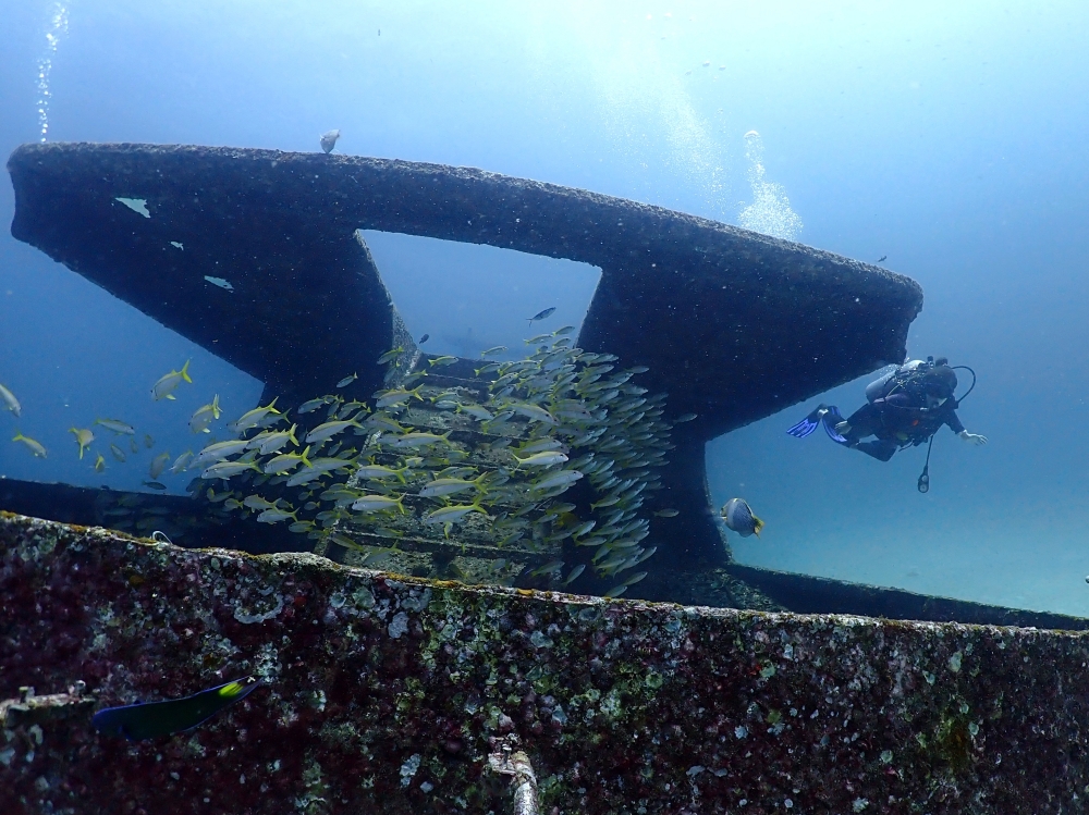 プーケットのラチャヤイ島でダイビング
