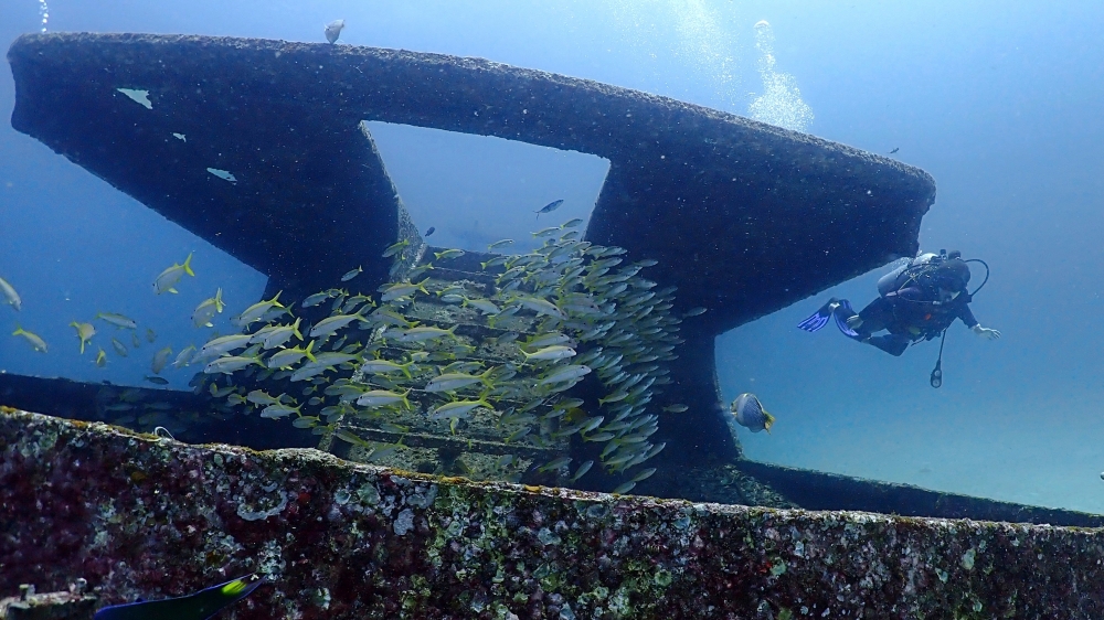 プーケットのラチャヤイ島でダイビング