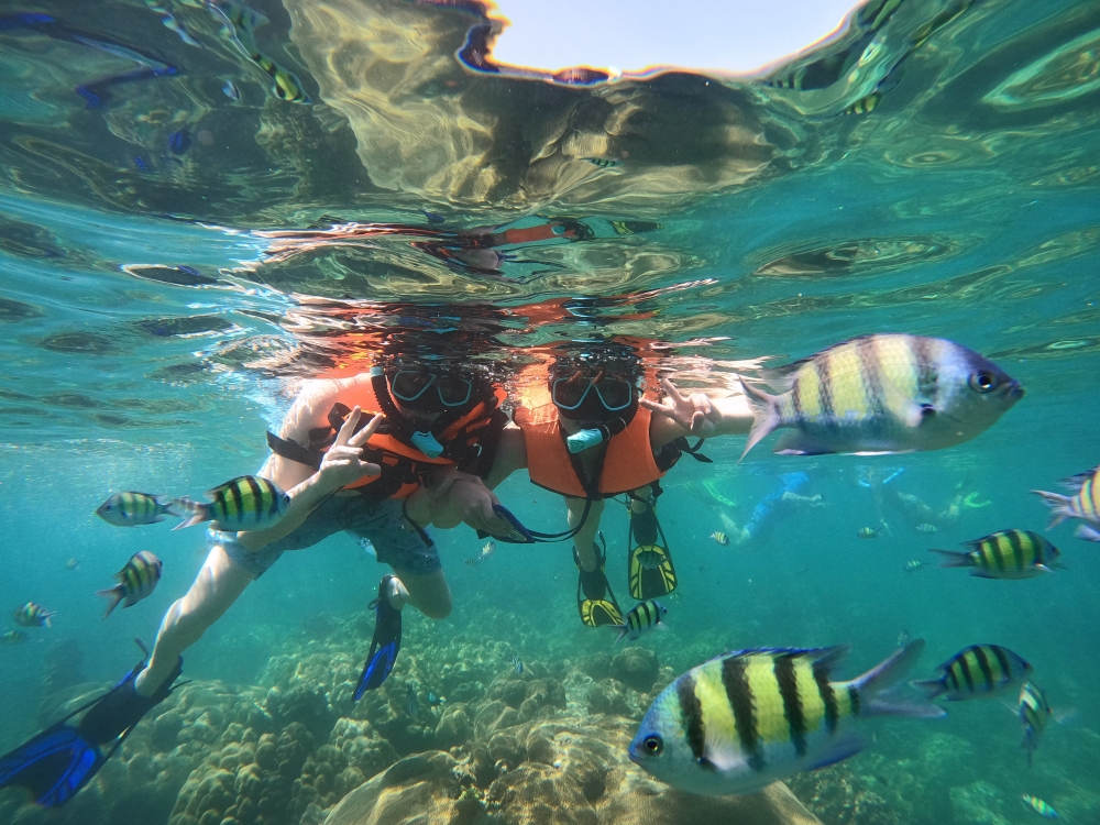 プーケットのピピ島でシュノーケリング