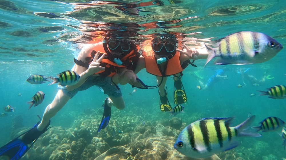 プーケットのピピ島でシュノーケリング