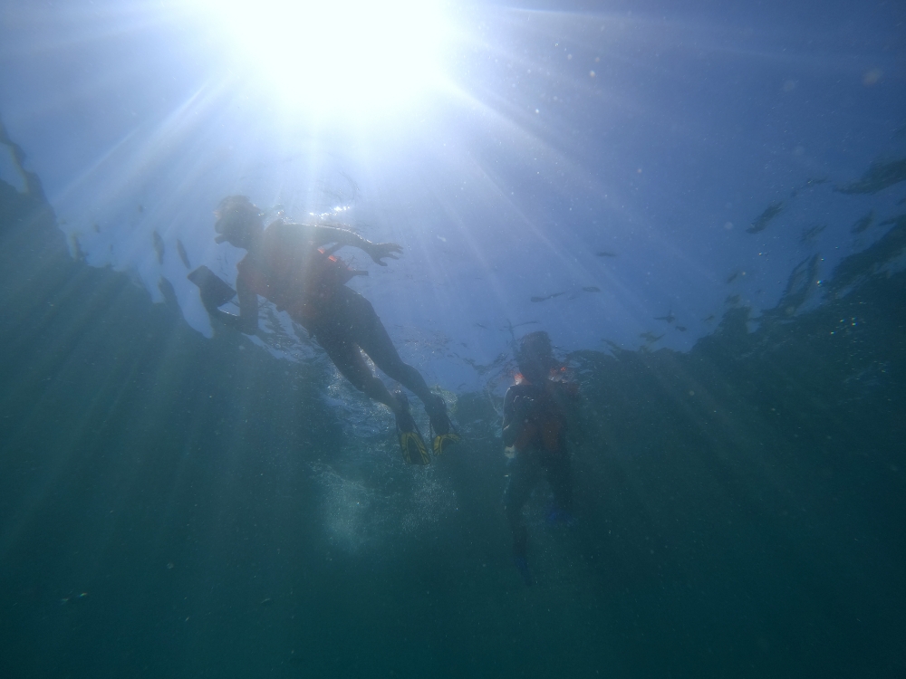 プーケットのピピ島でシュノーケリング