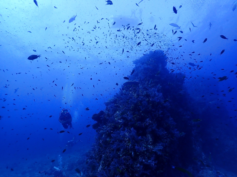 シミランクルーズでダイビング