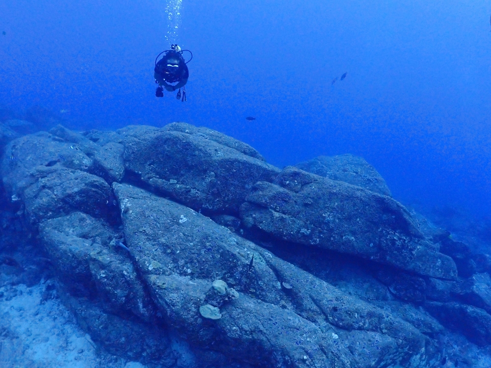 シミランクルーズでダイビング