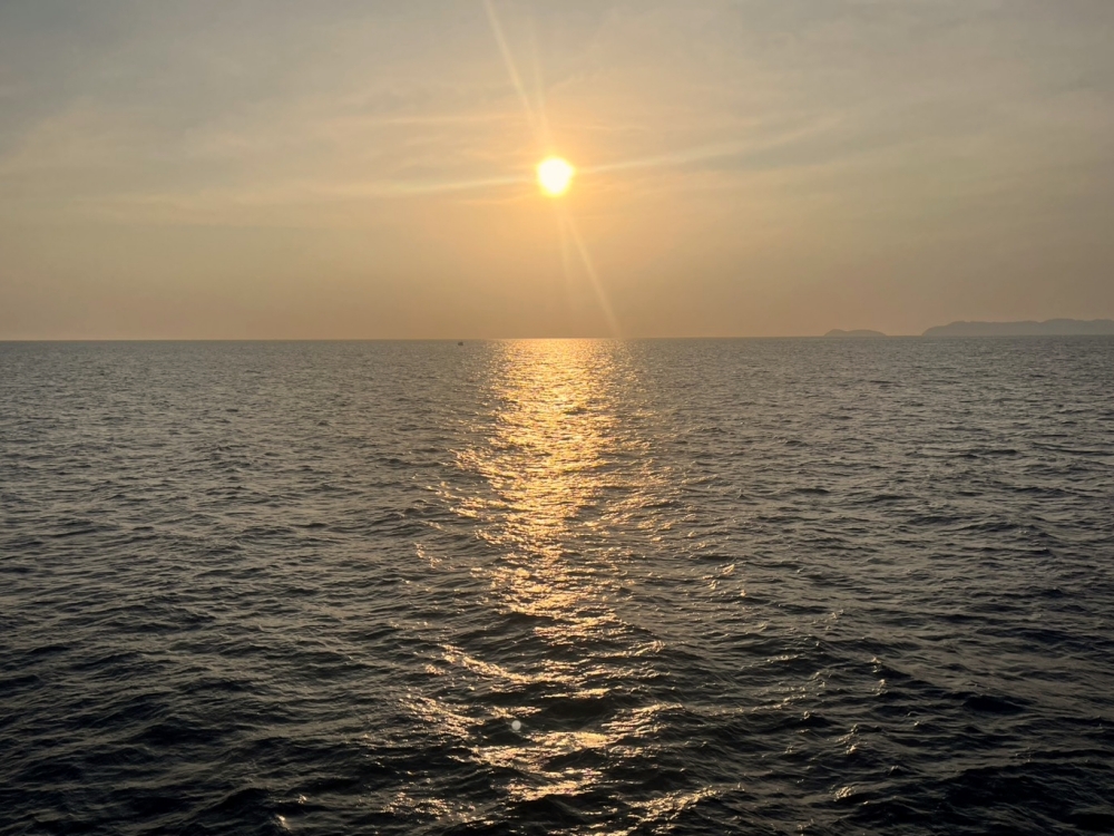 シミランクルーズでダイビング