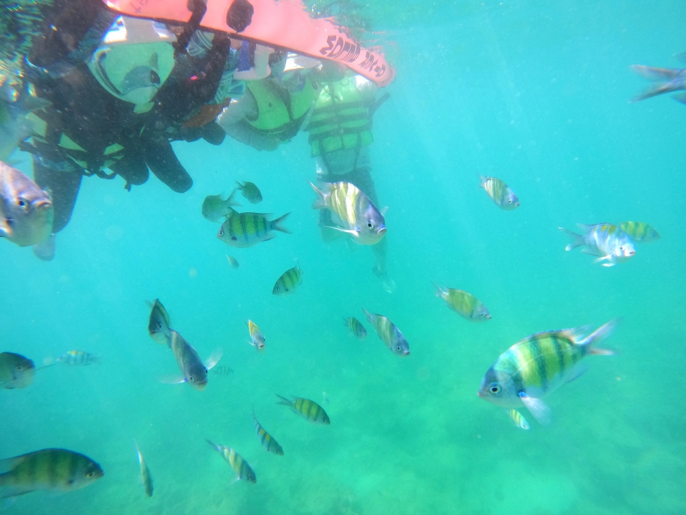 プーケットのバナナビーチでファミリーシュノーケリング