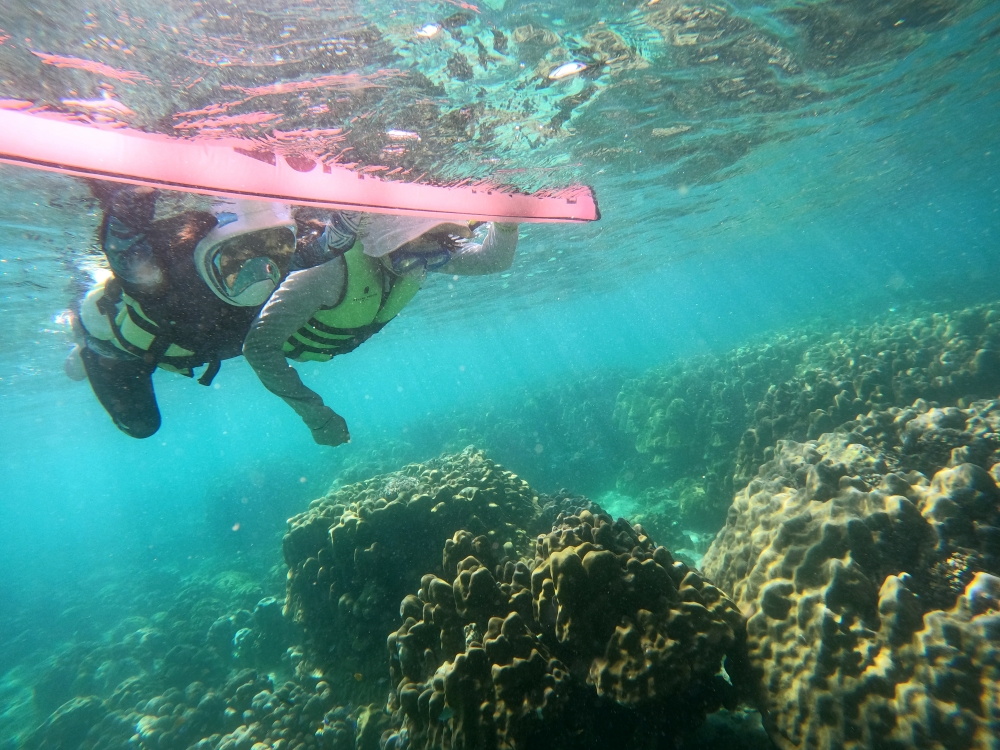 プーケットのバナナビーチでファミリーシュノーケリング