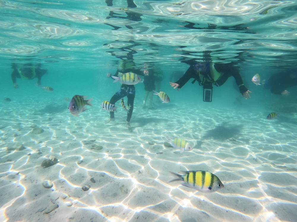 プーケットのバナナビーチでファミリーシュノーケリング