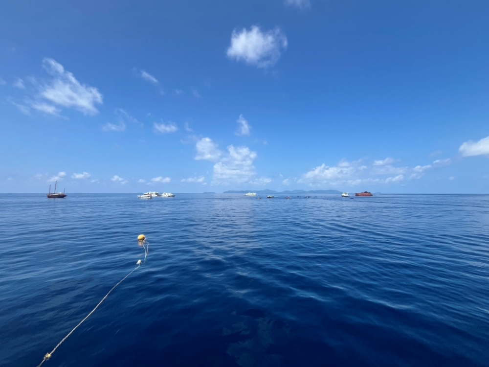 シミランクルーズでダイビング