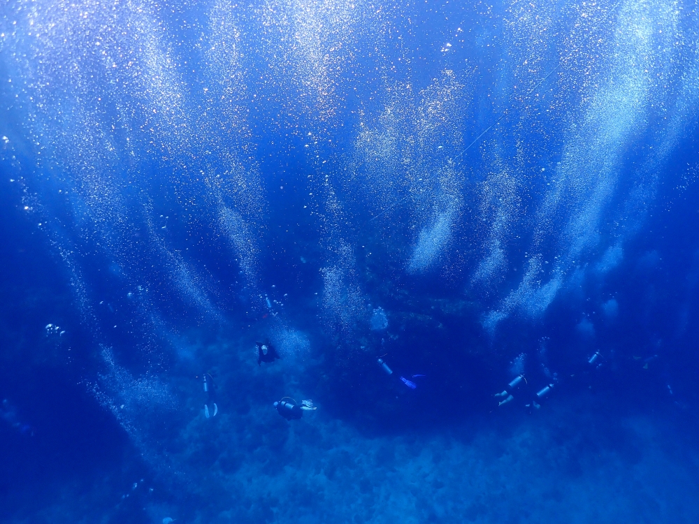 シミランクルーズでダイビング