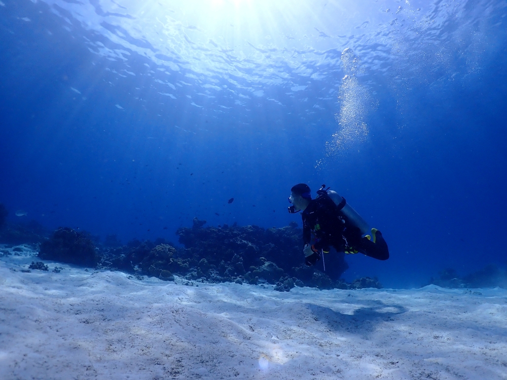 シミランクルーズでダイビング