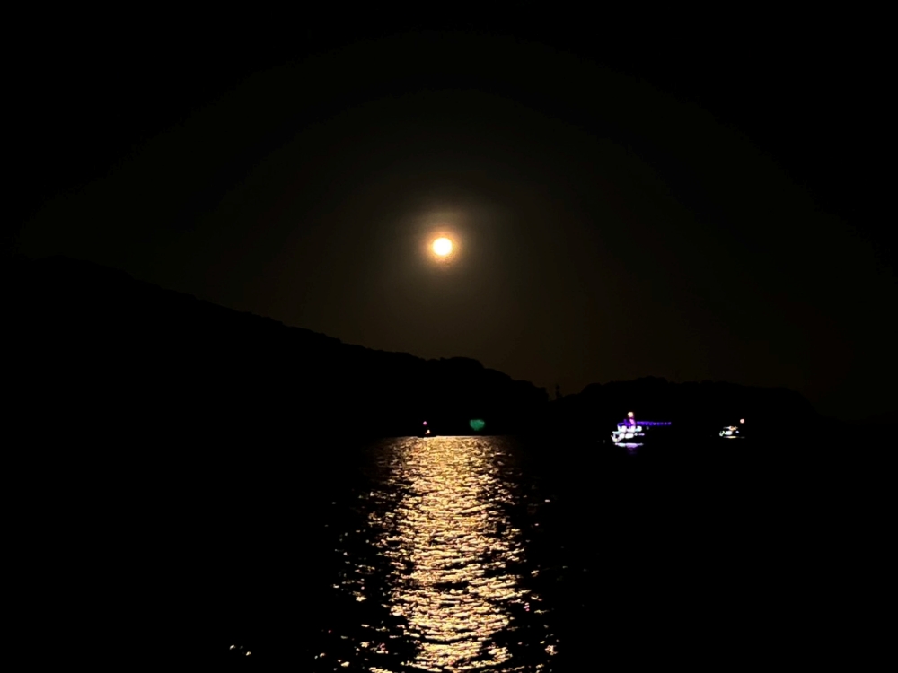 シミランクルーズでダイビング