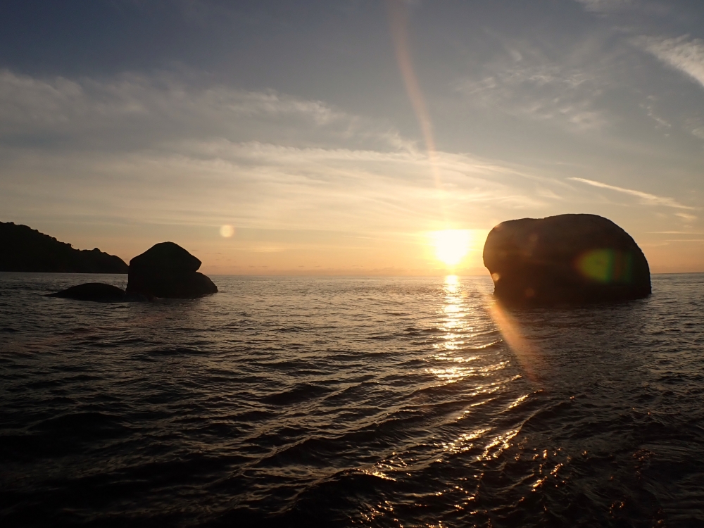 シミランクルーズでダイビング
