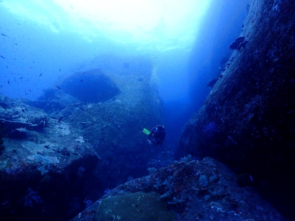 シミランクルーズでダイビング