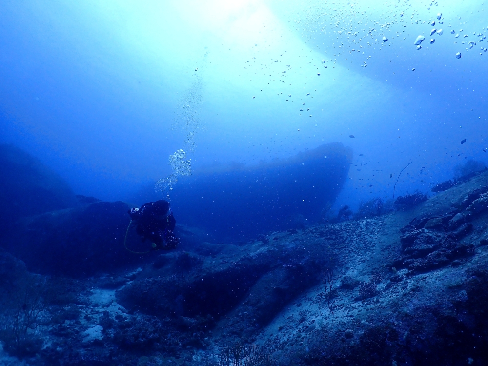 シミランクルーズでダイビング