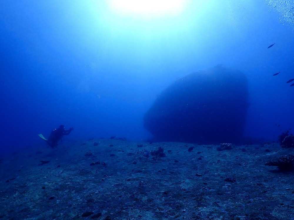 シミランクルーズでダイビング