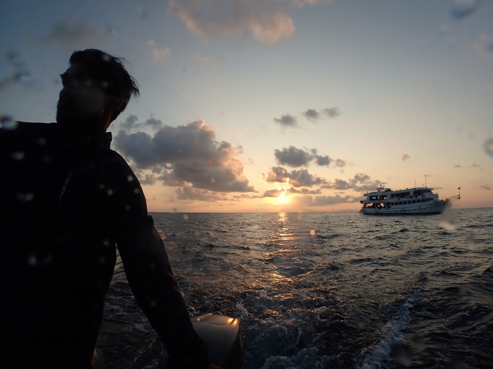 シミランクルーズでダイビング