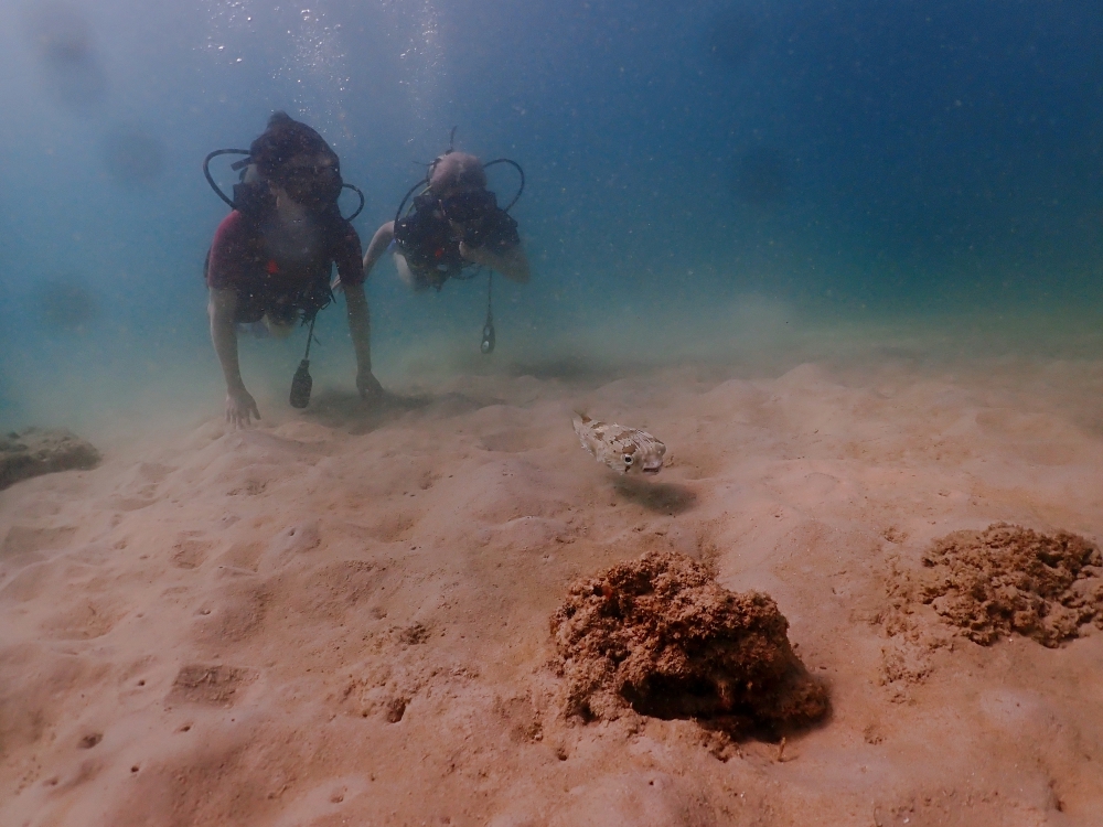 プーケットのカタビーチで半日体験ダイビング