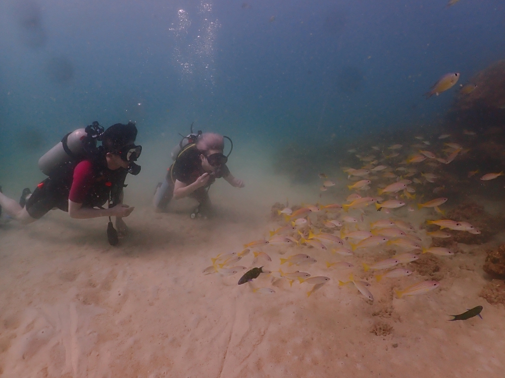 プーケットのカタビーチで半日体験ダイビング