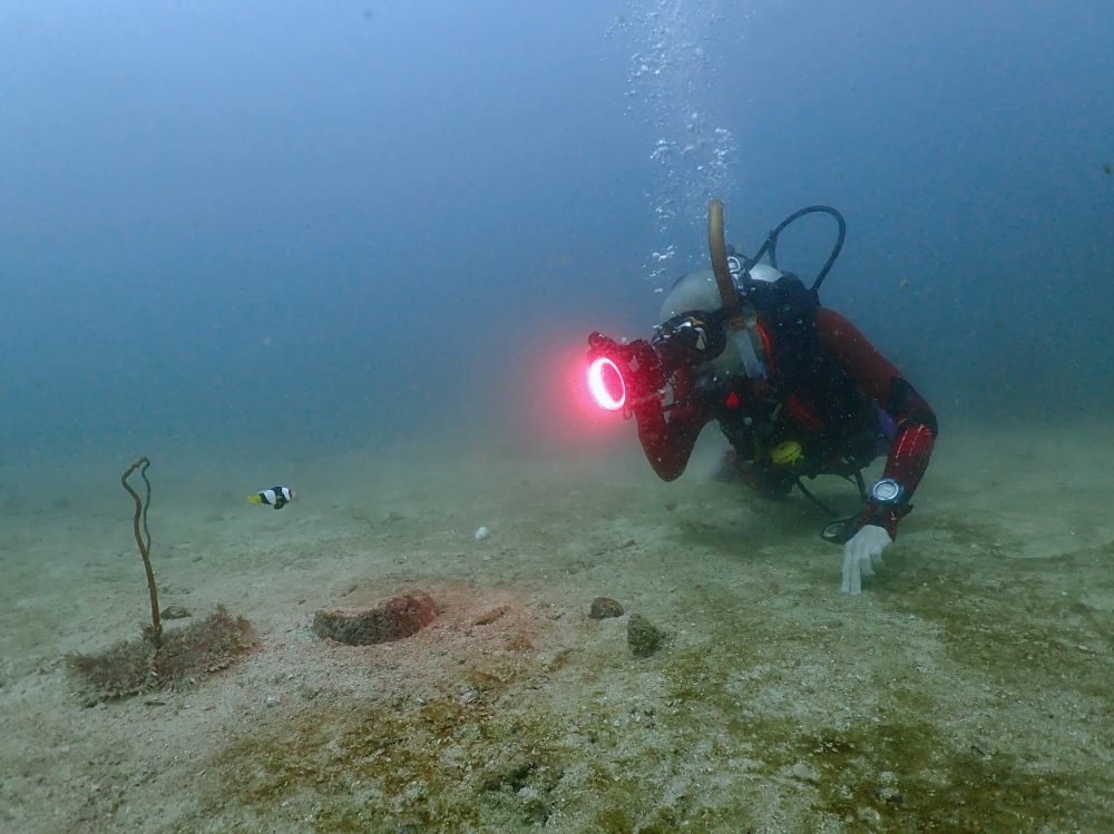 プーケットのピピ島でダイビング
