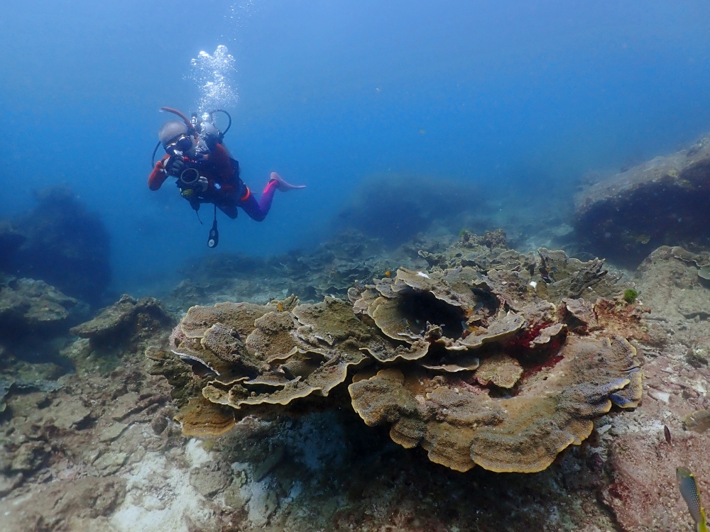 プーケットのラチャ島でダイビング
