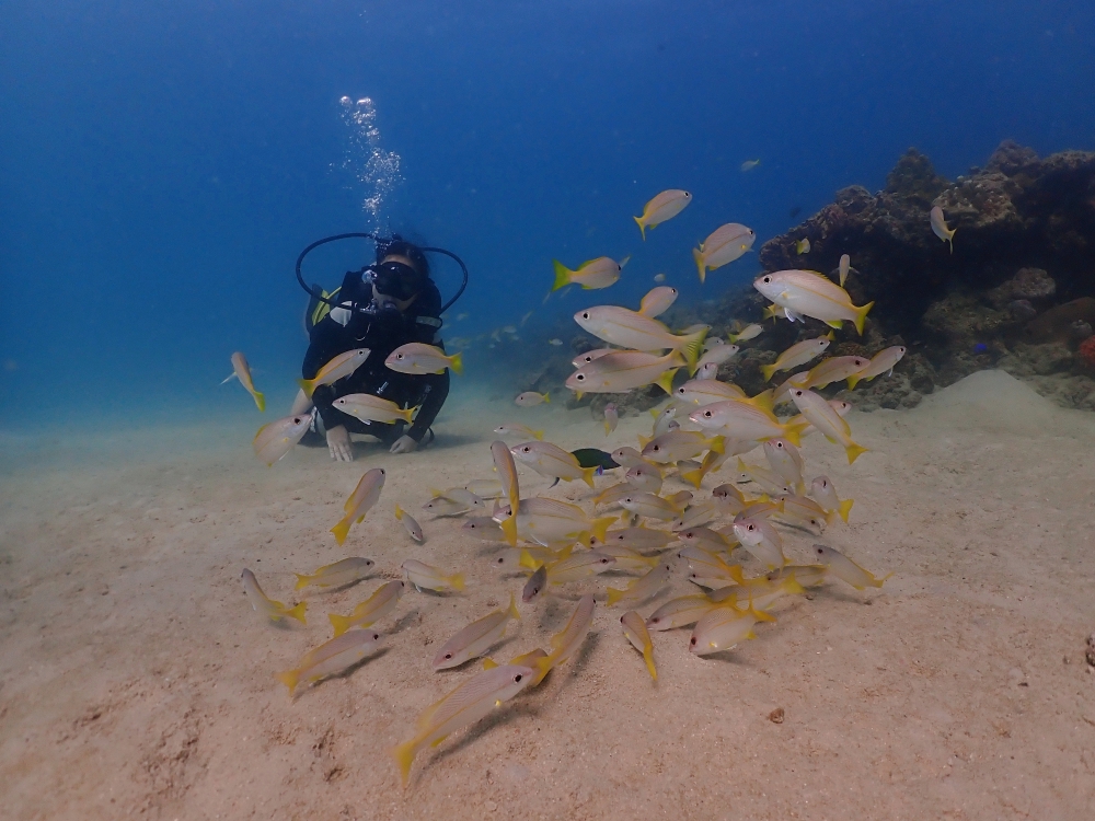 プーケットのカタビーチで半日体験ダイビング