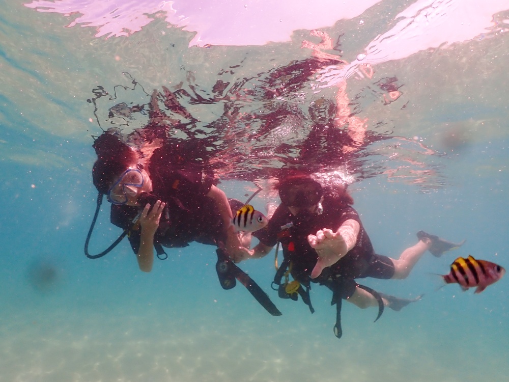 プーケットのカタビーチで半日体験ダイビング