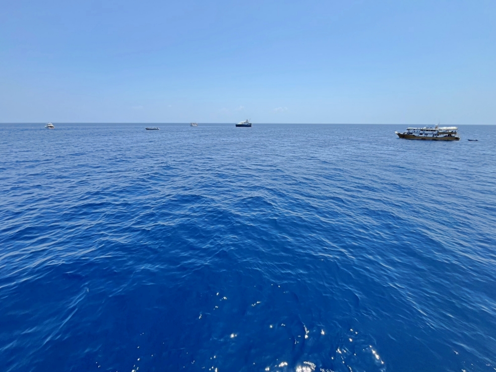 シミランクルーズでダイビング