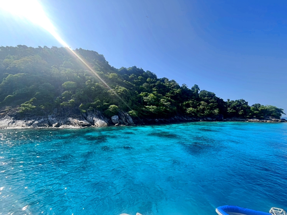 シミランクルーズでダイビング