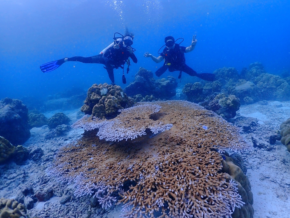 シミランクルーズでダイビング