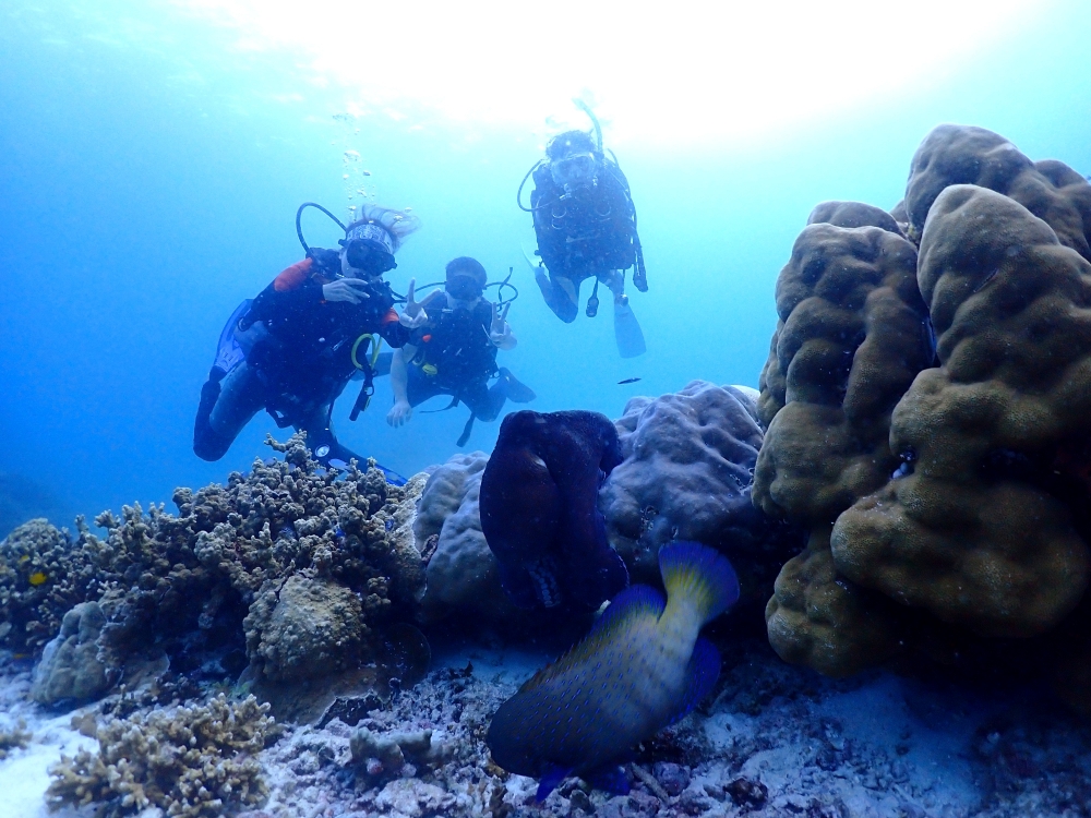 シミランクルーズでダイビング