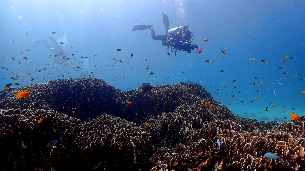 プーケットのラチャヤイ島でダイビング