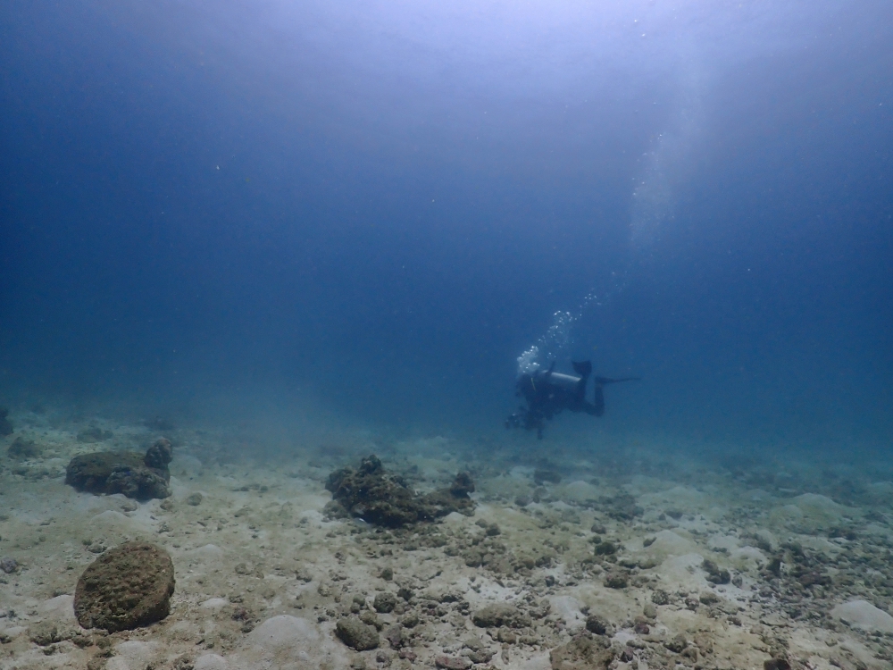 プーケットのラチャヤイ島でダイビング
