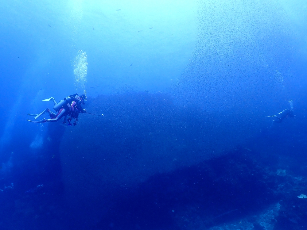 スキューバプロショップ御一行様とシミランクルーズダイビング