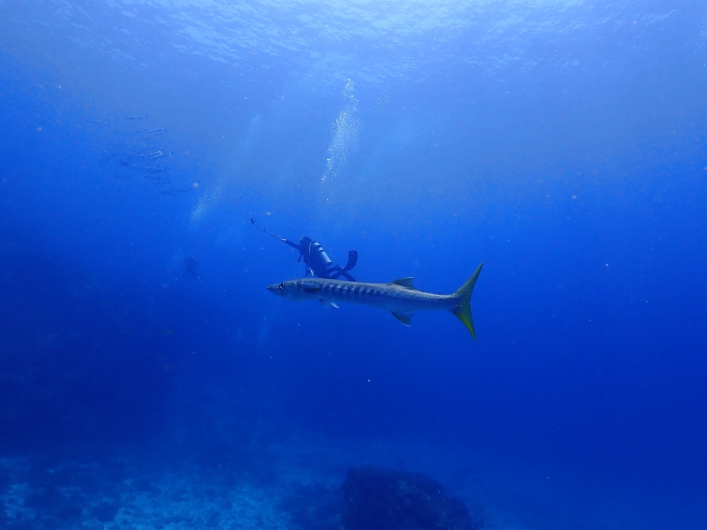 スキューバプロショップ御一行様とシミランクルーズダイビング