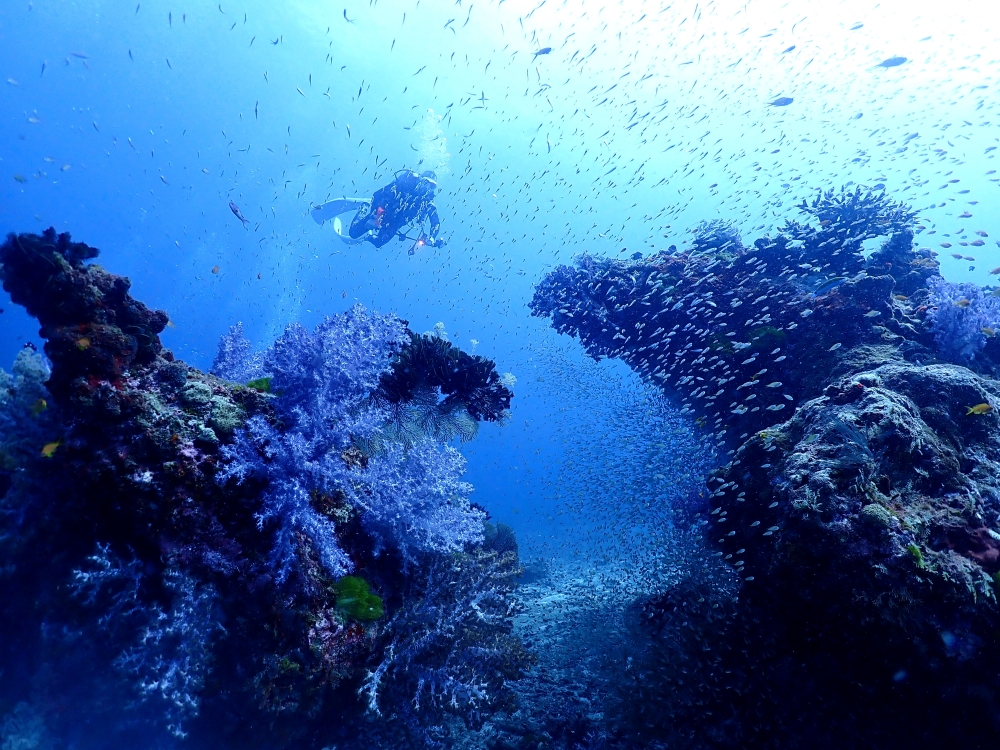 スキューバプロショップ御一行様とシミランクルーズダイビング