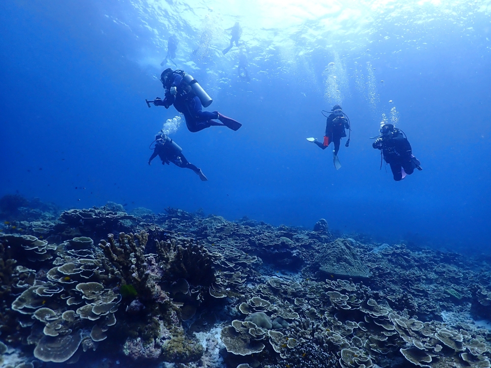 スキューバプロショップ御一行様とシミランクルーズダイビング
