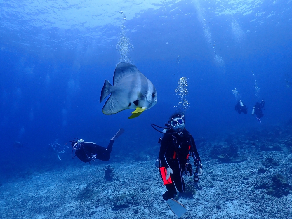 スキューバプロショップ御一行様とシミランクルーズダイビング