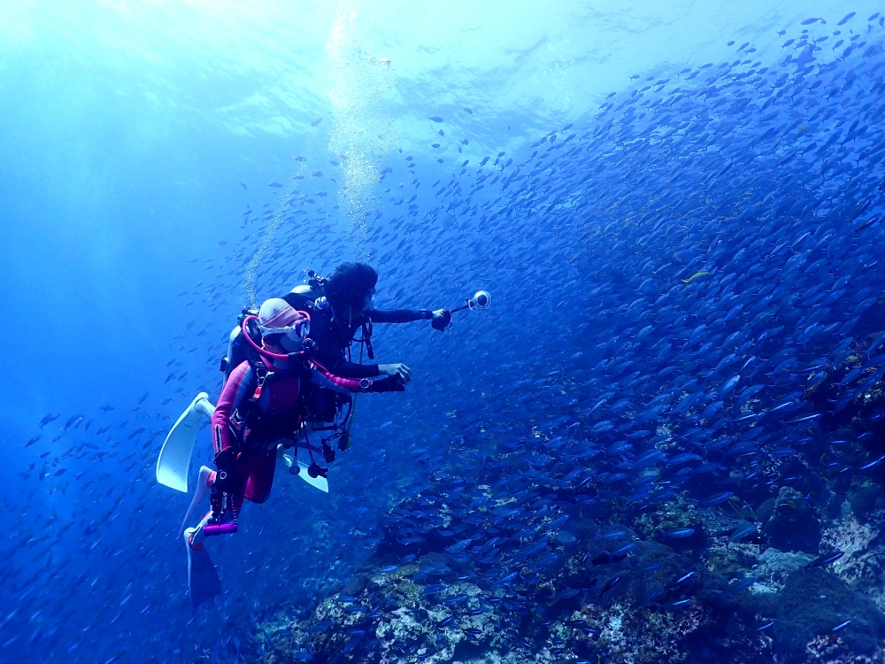 スキューバプロショップ御一行様とシミランクルーズダイビング