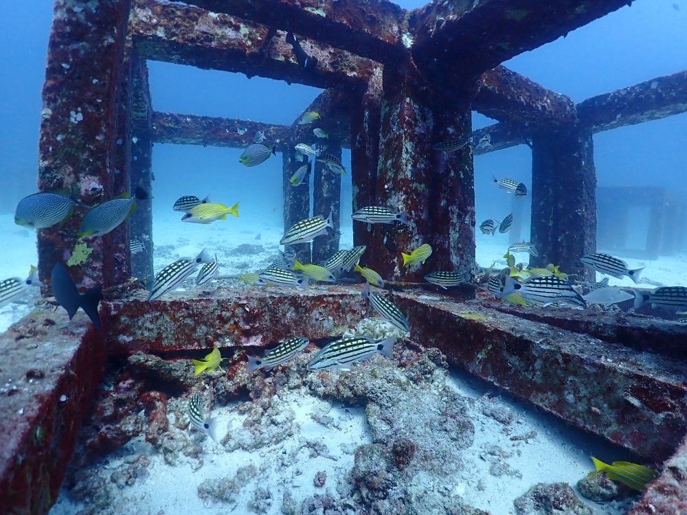 プーケットのラチャ島でダイビング